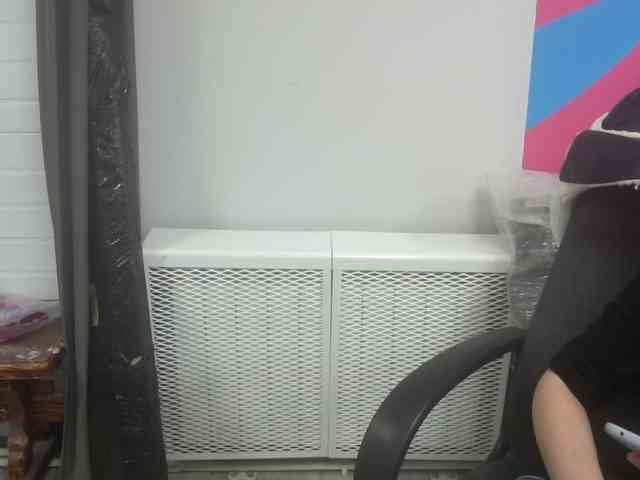 Darinac webcam