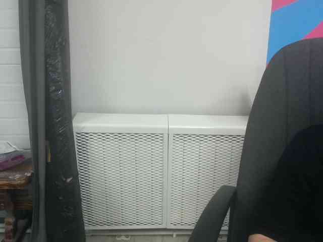 Darinac webcam