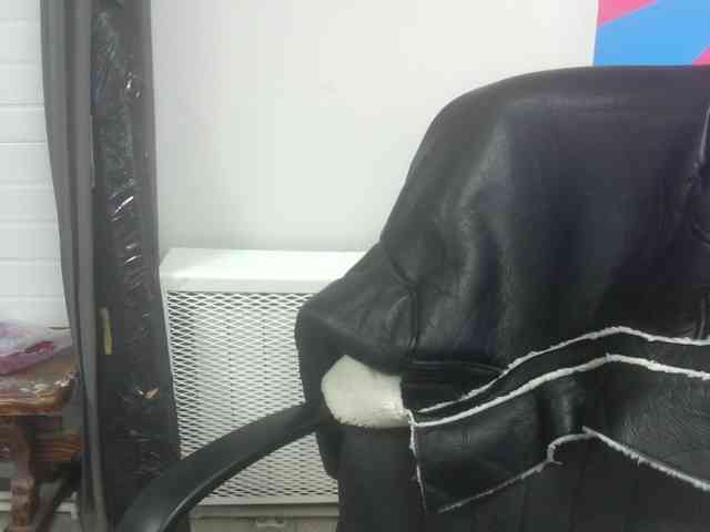 Darinac webcam