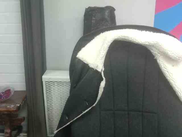 Darinac webcam