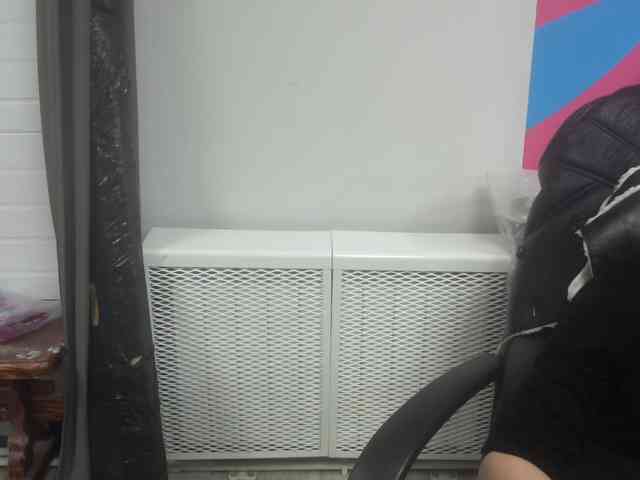 Darinac webcam