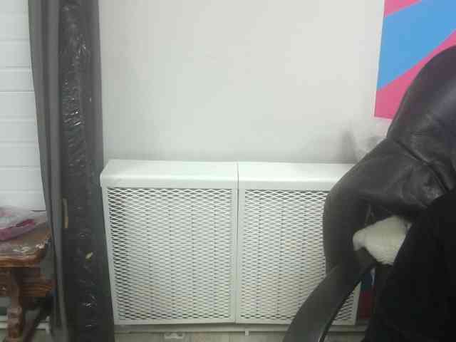 Darinac webcam