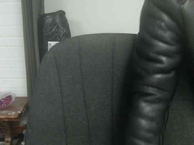 Darinac webcam