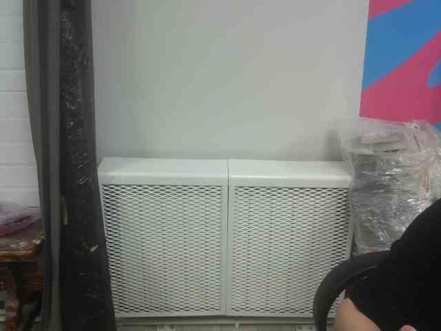 Darinac webcam