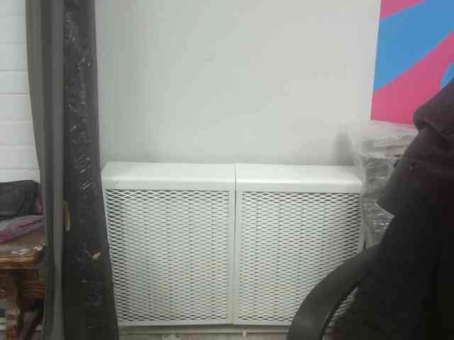 Darinac webcam