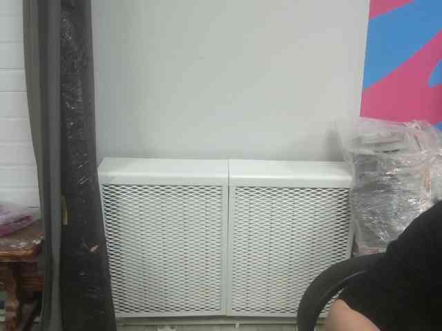 Darinac webcam