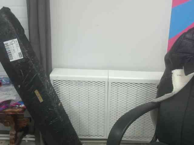 Darinac webcam