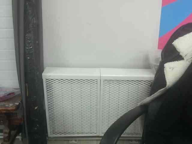 Darinac webcam