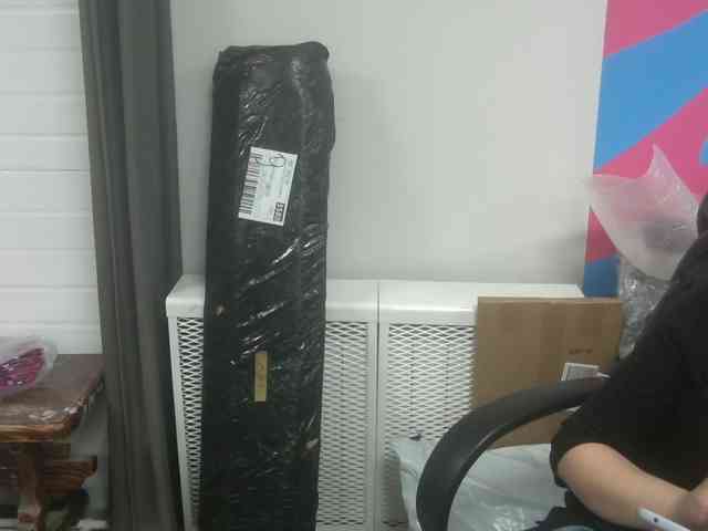 Darinac webcam