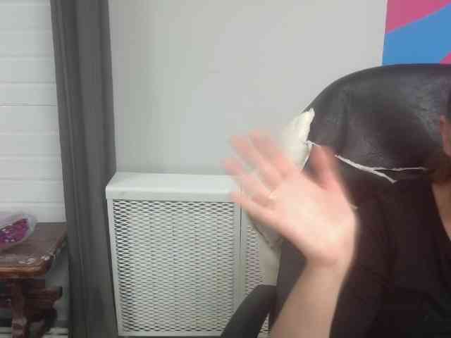 Darinac webcam