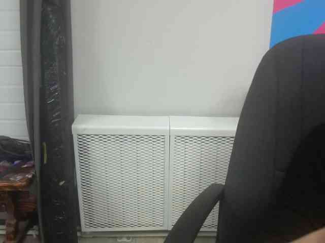 Darinac webcam