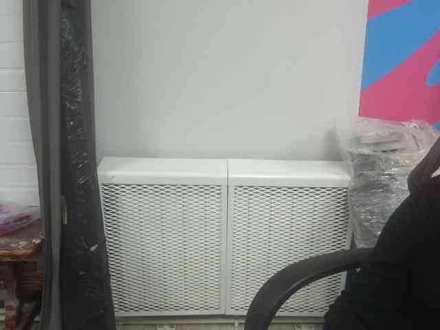 Darinac webcam