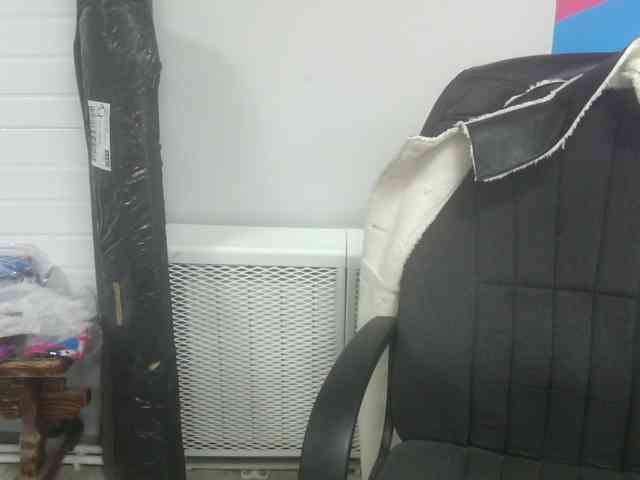 Darinac webcam