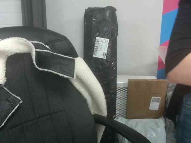 Darinac webcam