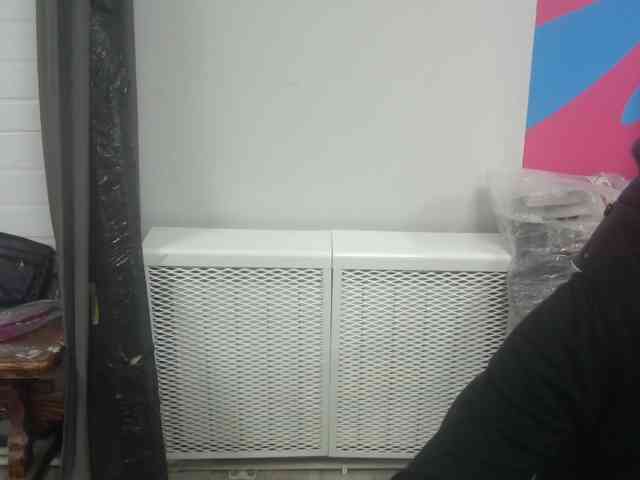 Darinac webcam