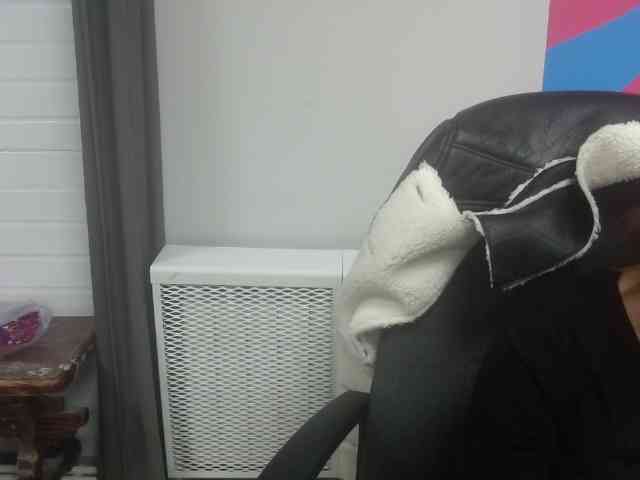 Darinac webcam