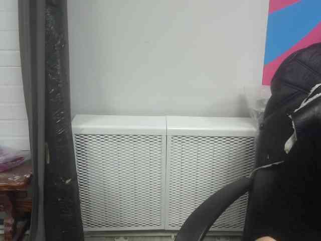 Darinac webcam