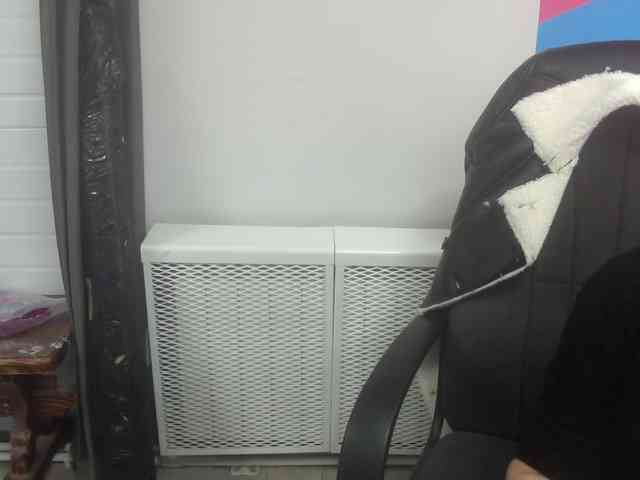 Darinac webcam