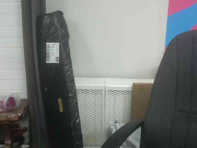 Darinac webcam