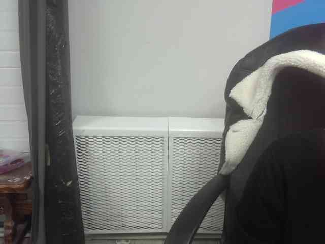 Darinac webcam