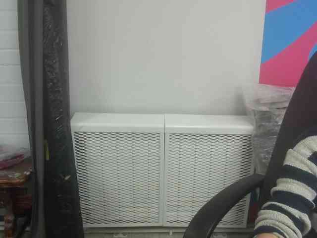 Darinac webcam