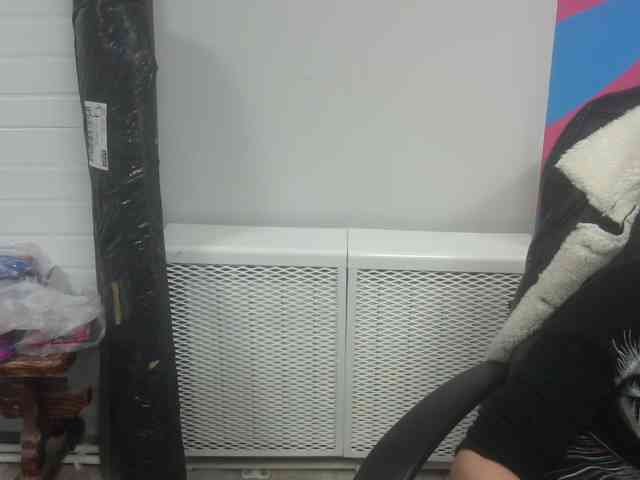 Darinac webcam