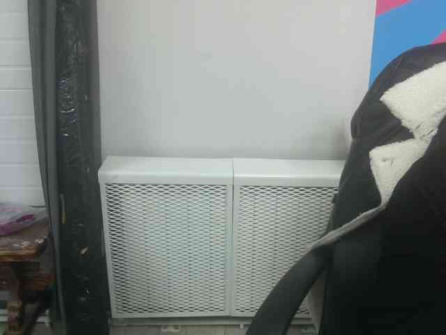 Darinac webcam