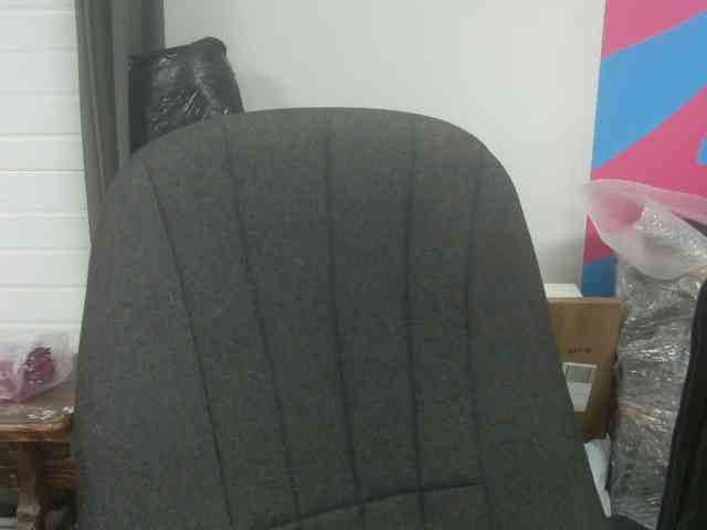 Darinac webcam
