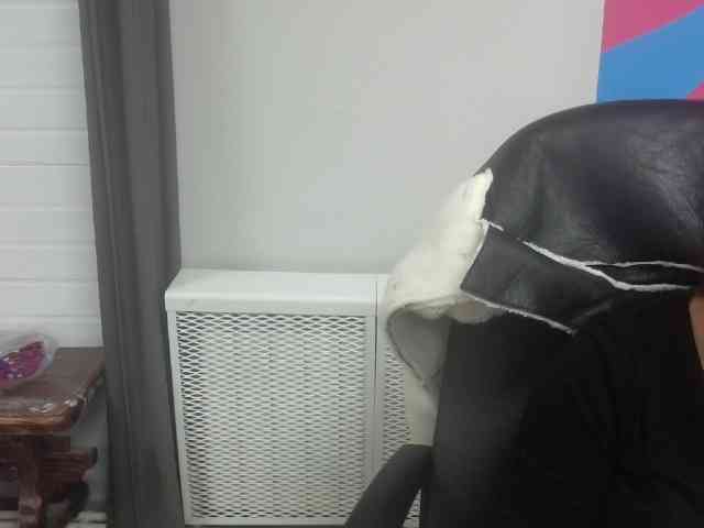 Darinac webcam