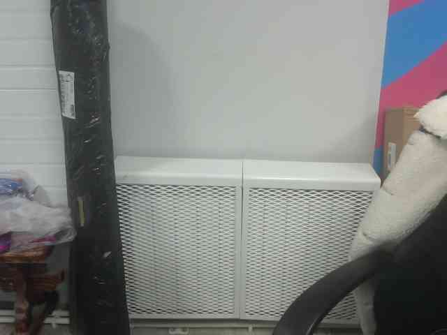 Darinac webcam