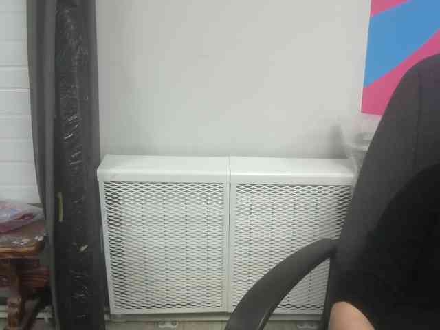 Darinac webcam