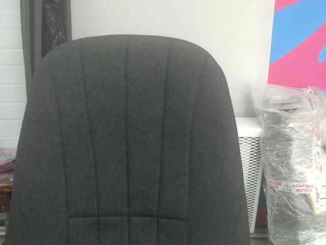 Darinac webcam