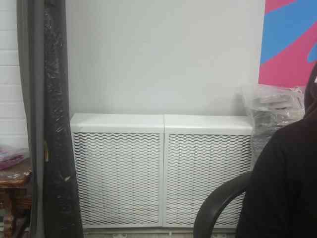 Darinac webcam