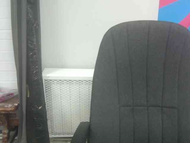 Darinac webcam