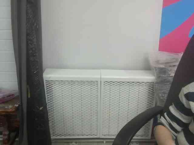 Darinac webcam