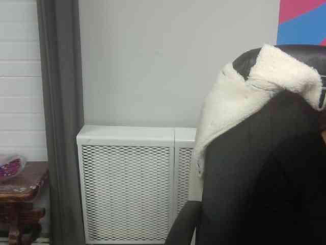Darinac webcam