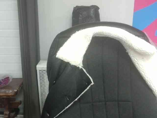 Darinac webcam