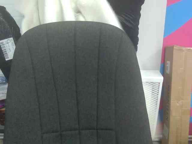 Darinac webcam