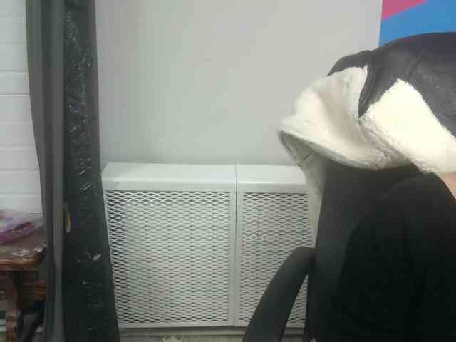 Darinac webcam