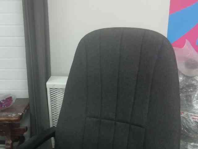 Darinac webcam