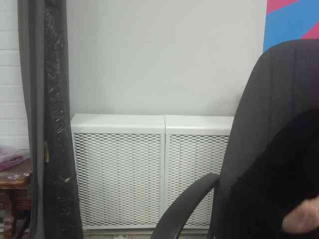 Darinac webcam