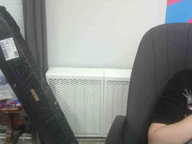 Darinac webcam