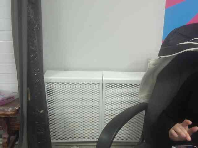Darinac webcam