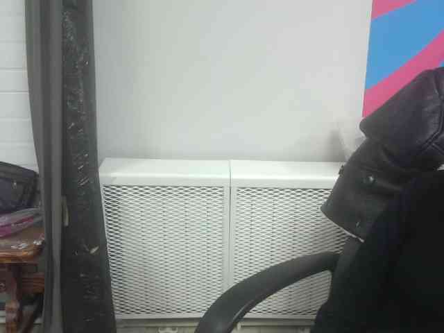 Darinac webcam