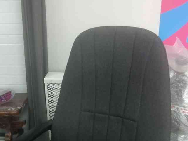 Darinac webcam