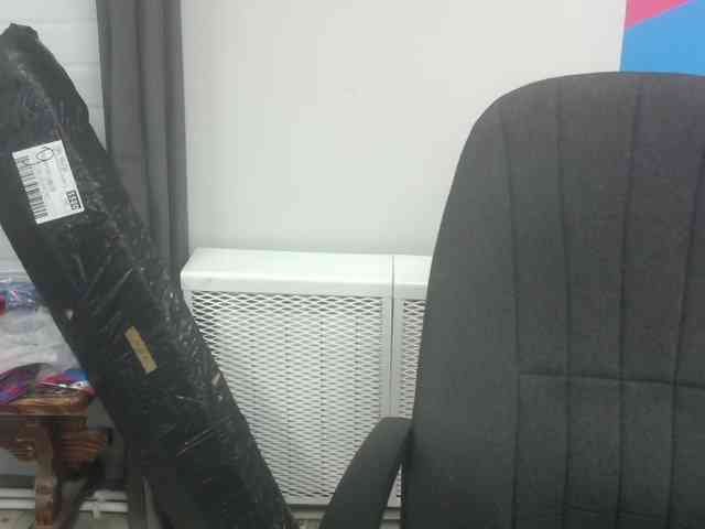 Darinac webcam