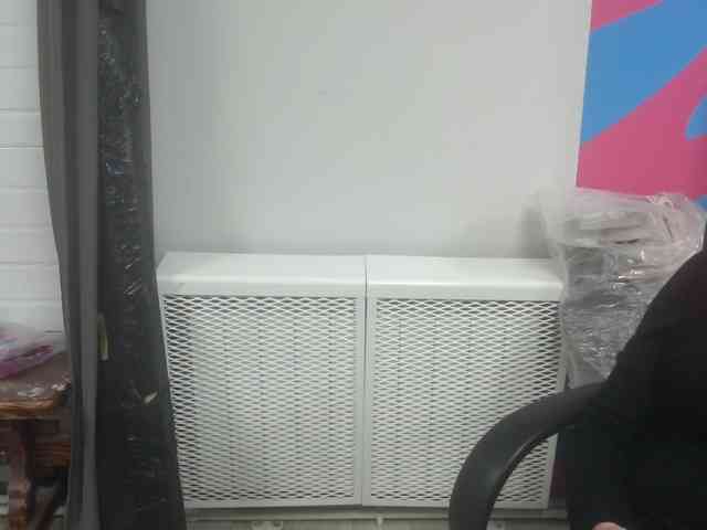 Darinac webcam
