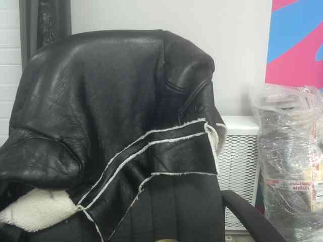 Darinac webcam
