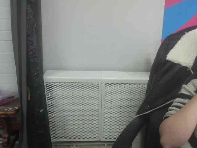 Darinac webcam