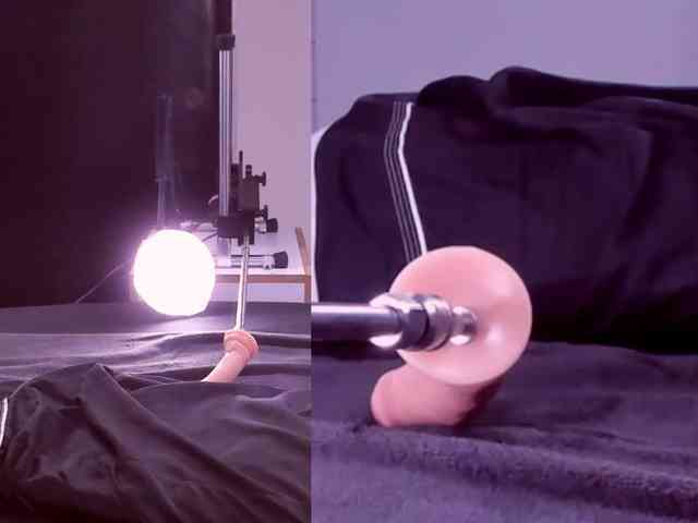 lisa-jenner webcam